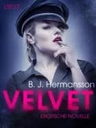 Velvet: Erotische Novelle