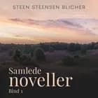 Samlede noveller. Bind 1 af Steen Steensen Blicher