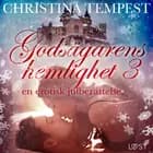 Godsägarens hemlighet 3 - en erotisk julberättelse af Christina Tempest