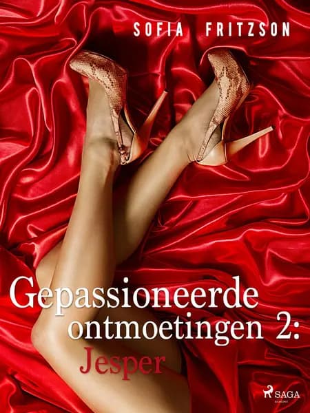 Gepassioneerde ontmoetingen 2: Jesper - erotisch verhaal af Sofia Fritzson