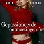 Gepassioneerde ontmoetingen 3: Jill - erotisch verhaal