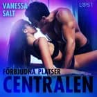 Förbjudna platser: Centralen af Vanessa Salt