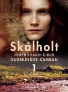 Skálholt 1