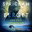 Sprickan i berget af Jan Eric Arvastson