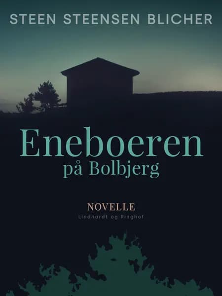 Eneboeren på Bolbjerg af Steen Steensen Blicher
