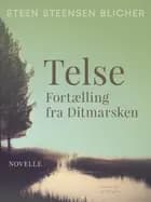 Telse. Fortælling fra Ditmarsken