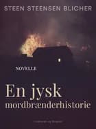 En jysk mordbrænderhistorie af Steen Steensen Blicher