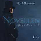 Novellen - Guy de Maupassant