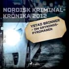 Ystad brinner - om Gryningspyromanen 