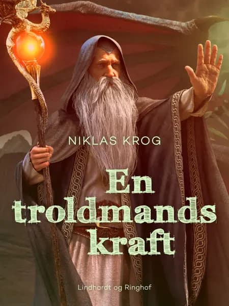 En troldmands kraft af Niklas Krog