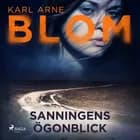 Sanningens ögonblick af Karl Arne Blom
