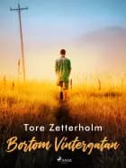 Bortom Vintergatan