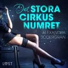 Det stora cirkusnumret af Alexandra Södergran