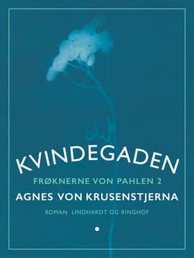 Kvindegaden af Agnes Von Krusenstjerna