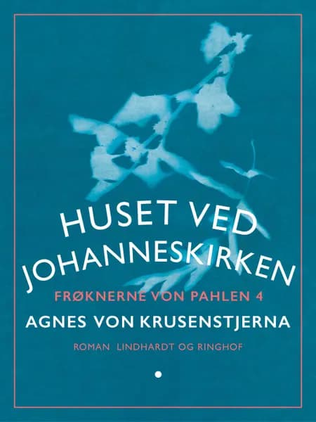 Huset ved Johanneskirken af Agnes Von Krusenstjerna