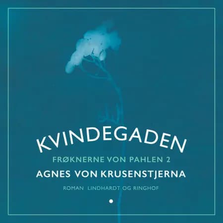 Kvindegaden af Agnes Von Krusenstjerna