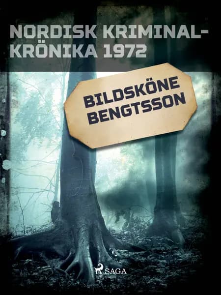 Bildsköne Bengtsson 