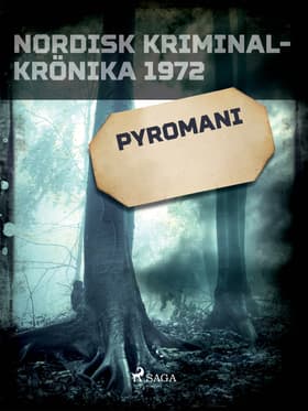 Pyromani af Diverse
