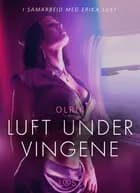 Luft under vingene - erotisk novelle