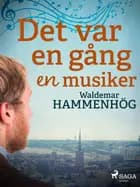 Det var en gång en musiker af Waldemar Hammenhög