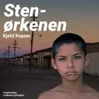 Stenørkenen af Kjeld Koplev