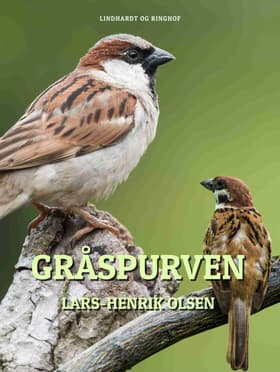 Gråspurven af Lars-Henrik Olsen