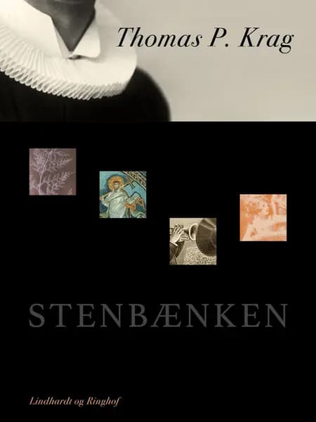 Stenbænken af Thomas P. Krag