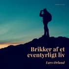 Brikker af et eventyrligt liv af Lars Ørlund
