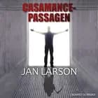 Casamance-passagen af Jan Larson