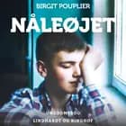 Nåleøjet