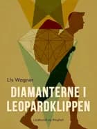 Den lange dag