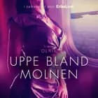 Uppe bland molnen - erotisk novell af Olrik