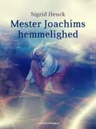 Mester Joachims hemmelighed af Sigrid Heuck