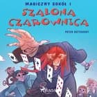 Magiczny sokół 1 - Szalona Czarownica af Peter Gotthardt
