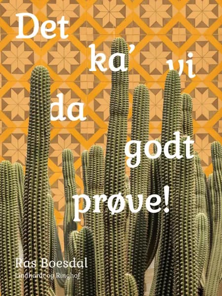 Det ka' vi da godt prøve! af Ras Boesdal