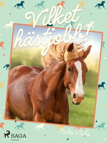Vilket hästjobb! af Malin Stehn