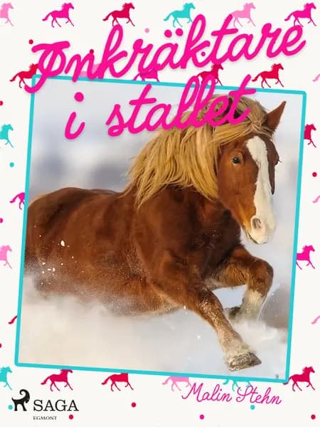 Inkräktare i stallet af Malin Stehn