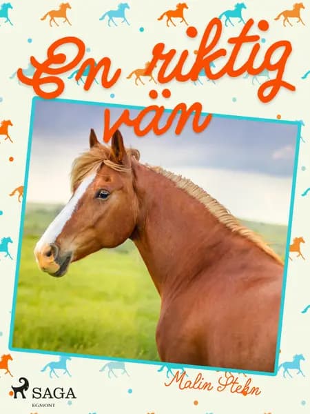 En riktig vän af Malin Stehn