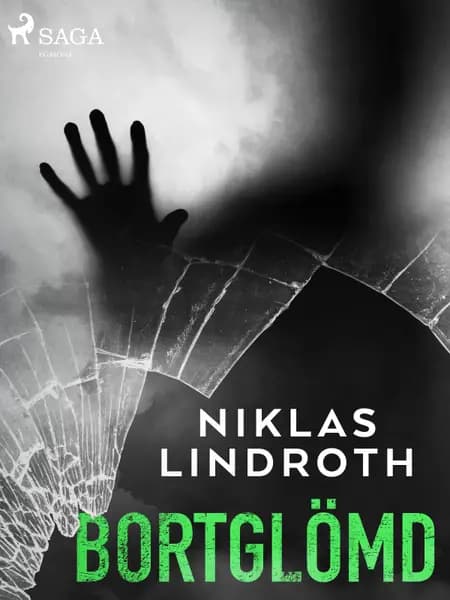 Bortglömd af Niklas Lindroth