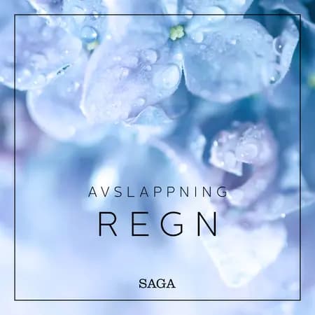 Avslappning - Regn af Rasmus Broe