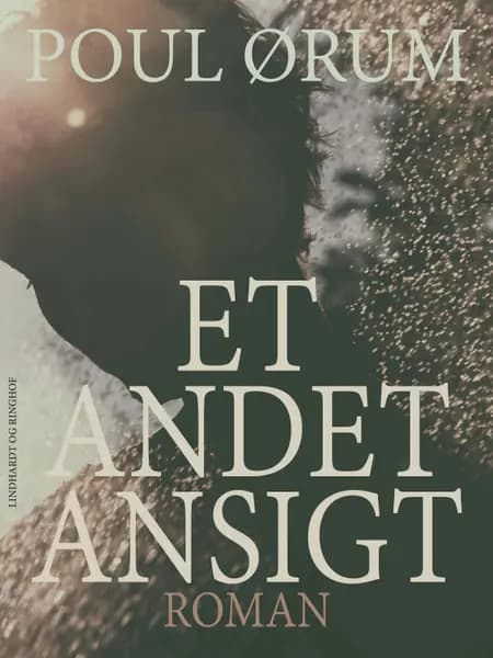 Hjemkomst til drab af Poul Ørum