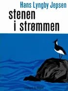 Stenen i strømmen