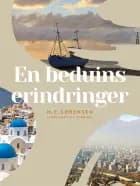 En beduins erindringer