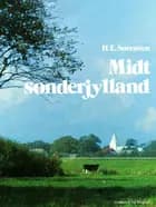 Midtsønderjylland