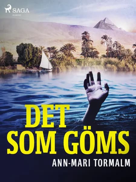 Det som göms af Ann-Mari Tormalm