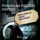 Haulikolla asiat selviksi? af Eri Tekijöitä
