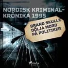 Brand skulle dölja mord på politiker 