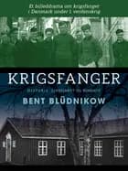 Krigsfanger. Et billeddrama om krigsfanger i Danmark under 1. verdenskrig af Bent Blüdnikow