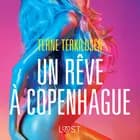 Un rêve à Copenhague – Une nouvelle érotique