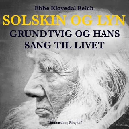 Solskin og lyn af Ebbe Kløvedal Reich